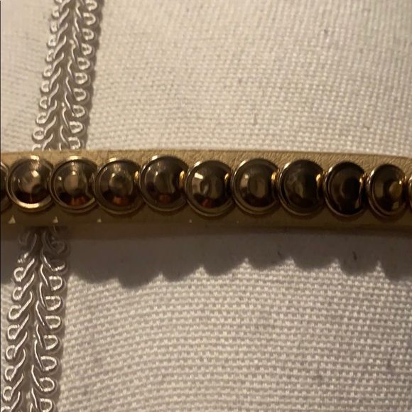 Embellished belt. NWT main image 6